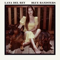 Blue Banisters album art