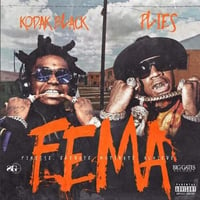F.E.M.A. album cover