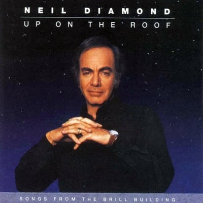 Neil Diamond image